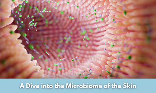 A Dive into the Microbiome of the Skin