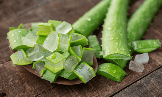 Aloe Vera for Skincare Health