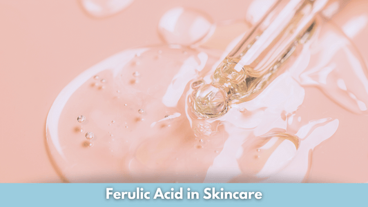 Ferulic Acid in Skincare
