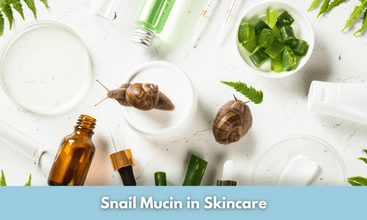 Snail Mucin in Skincare