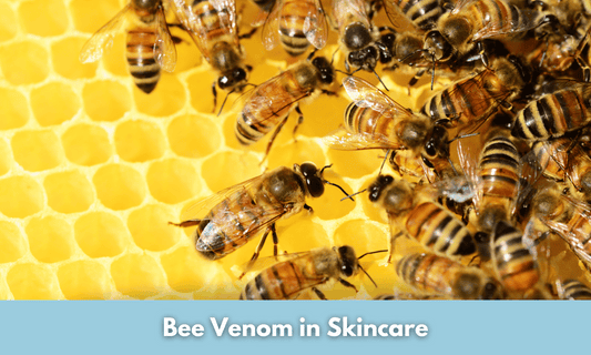 Bee Venom in Skincare