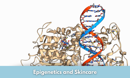 Epigenetics in Skincare
