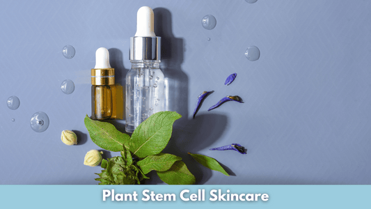 Plant Stem Cell Skincare