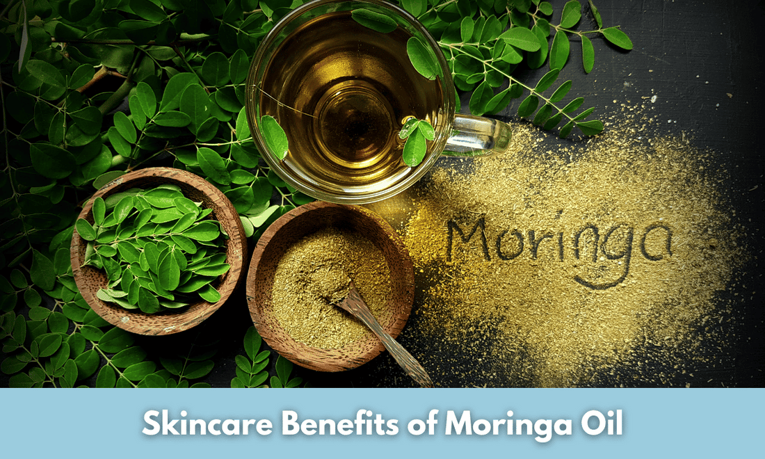 Skincare Benefits of Moringa Oil