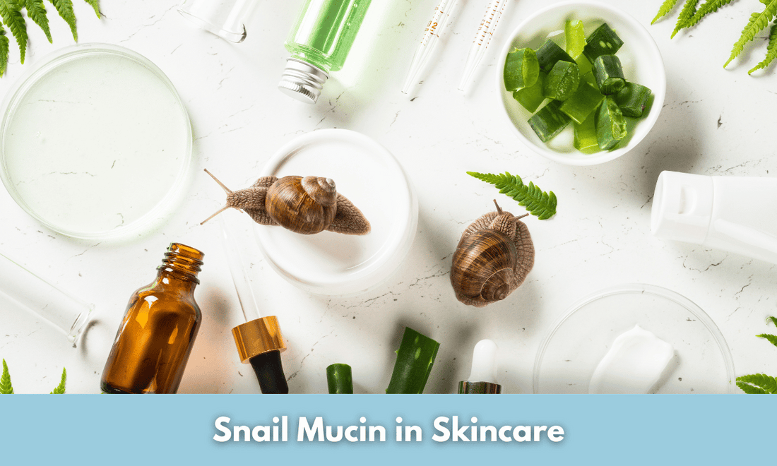 Snail Mucin in Skincare