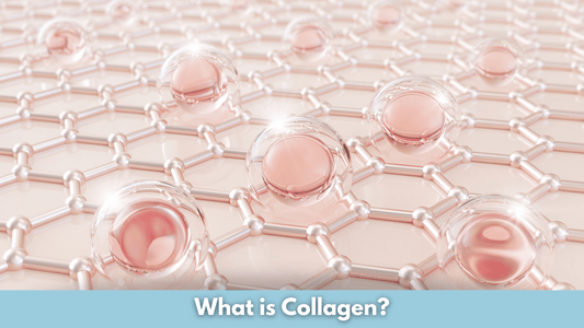 What is Collagen