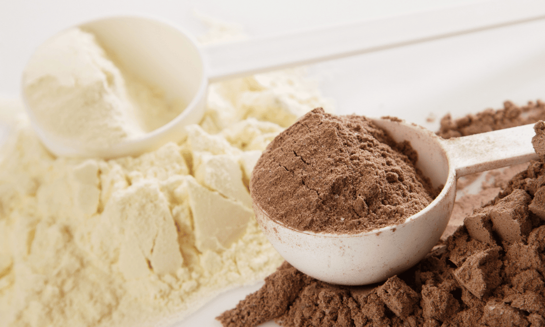 Whey Protein